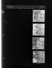 Optimist Club X-mas Tree Sale (4 Negatives) (November 1, 1960) [Sleeve 2, Folder c, Box 25]